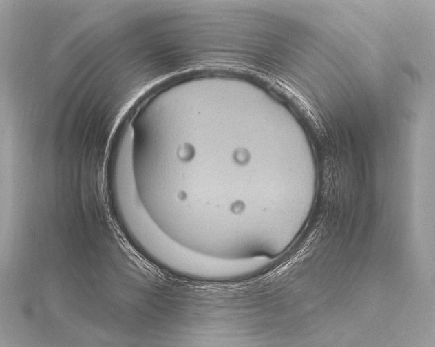 X0000115560880200912041051