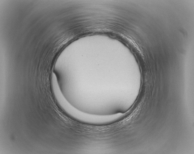 X0000115560881200912041051