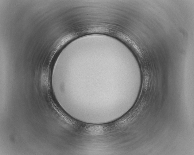 X0000115560882200912041051