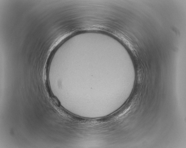 X0000115560885200912041051