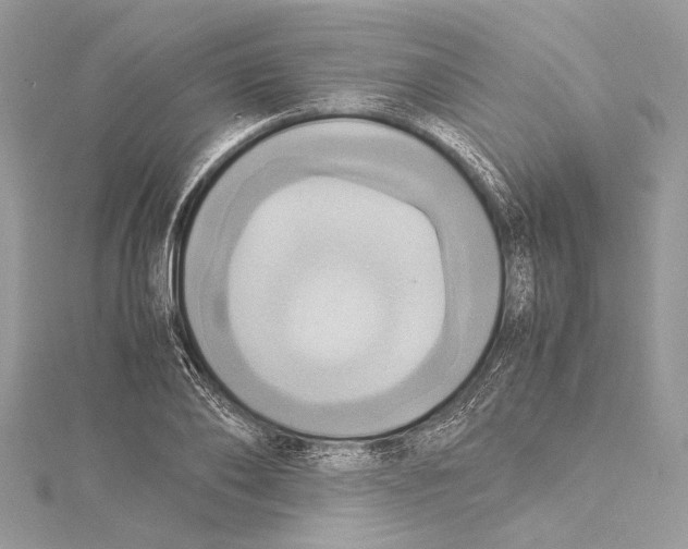 X0000115560886200912041051