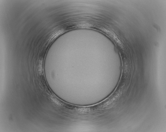 X0000115560889200912041051