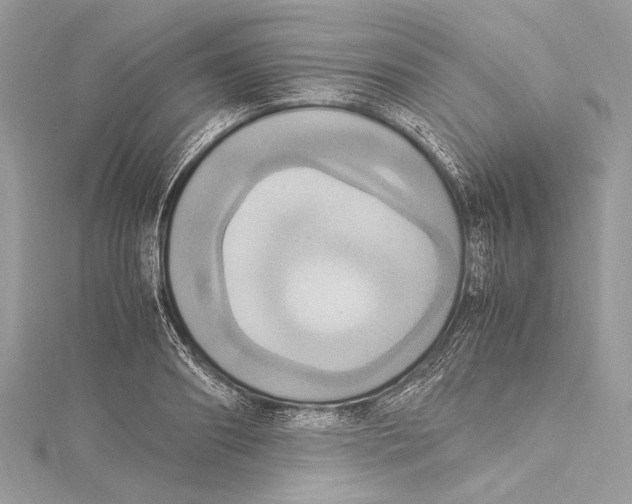 X0000115560890200912041051