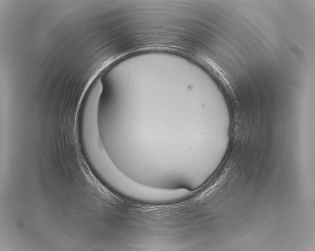 X0000115560892200912041051