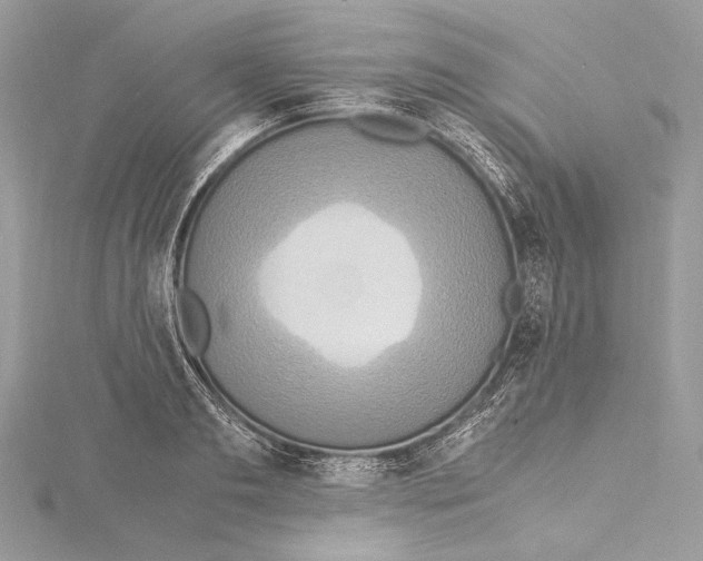 X0000115560893200912041051