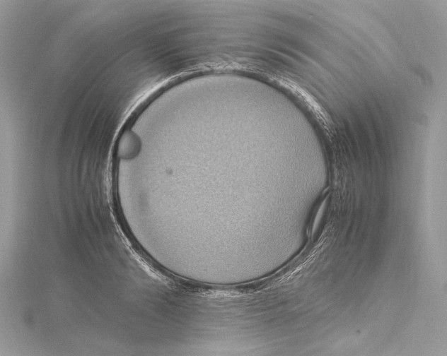 X0000115560894200912041051