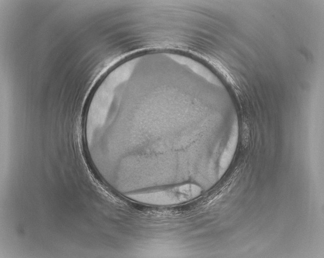 X0000115560895200912041051