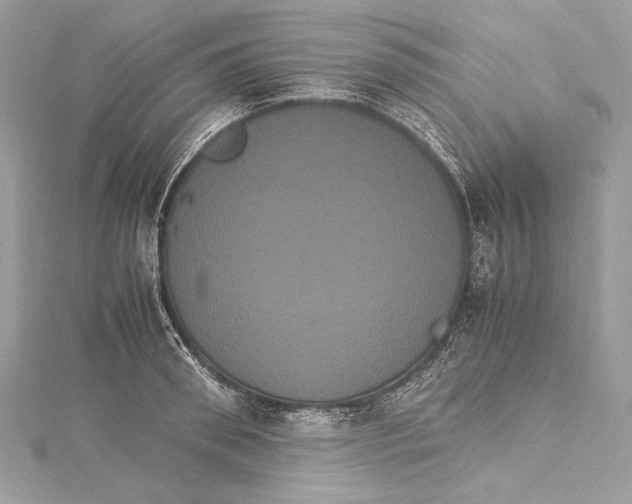 X0000115560898200912041051