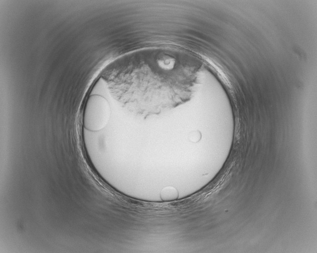 X0000115560899200912041051