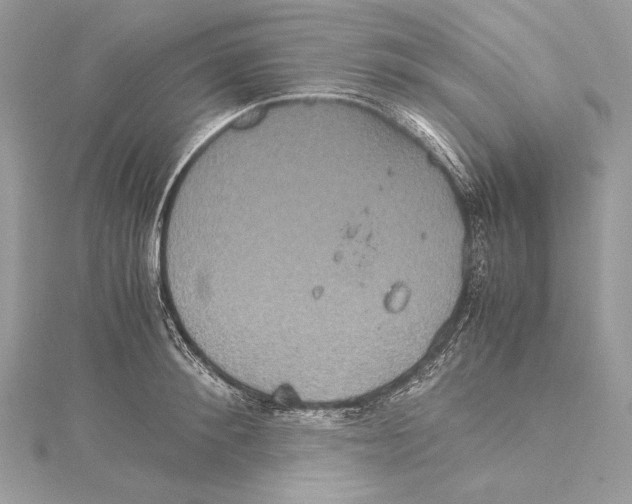 X0000115560900200912041051