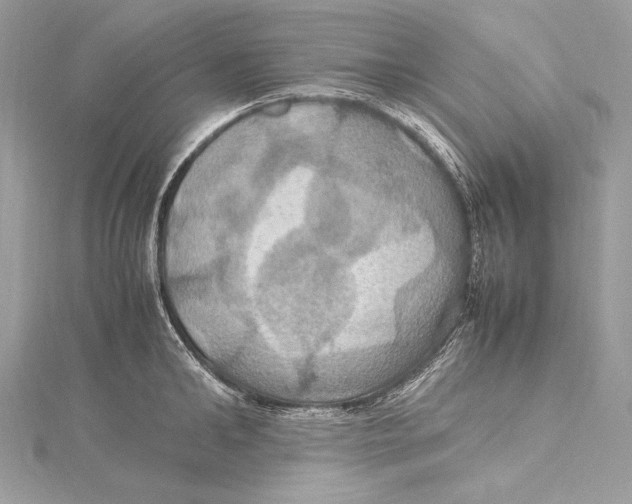 X0000115560902200912041051