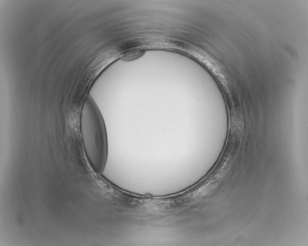 X0000115560905200912041051