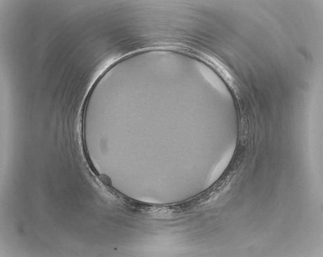 X0000115560907200912041050