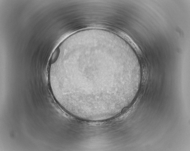 X0000115560908200912041050