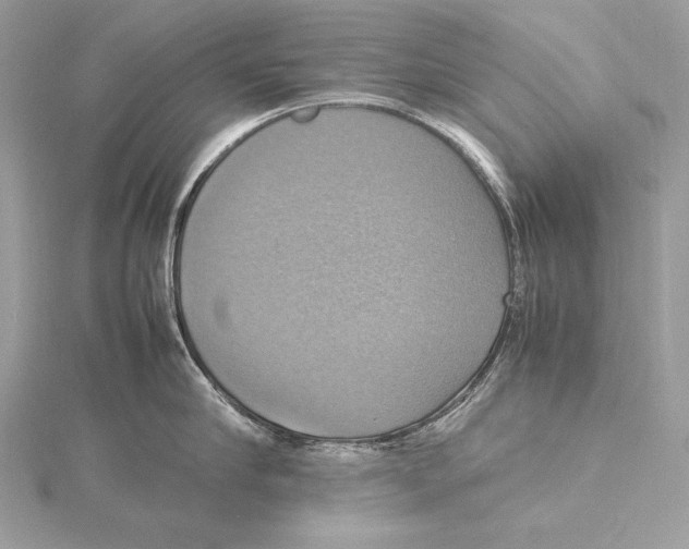 X0000115560910200912041050