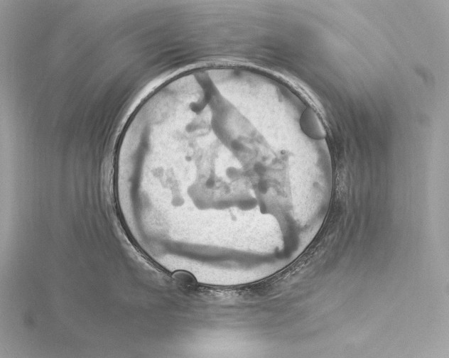 X0000115560911200912041050