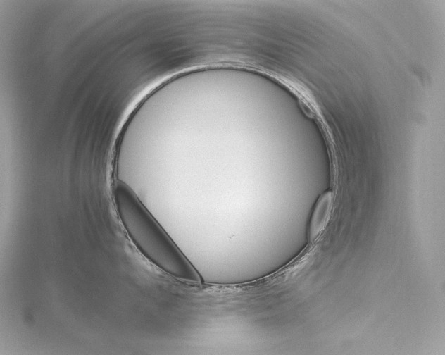 X0000115560912200912041050