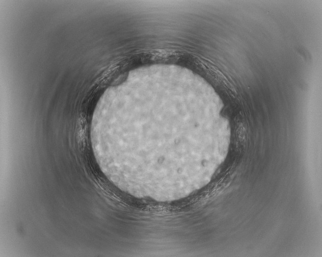 X0000115560914200912041050