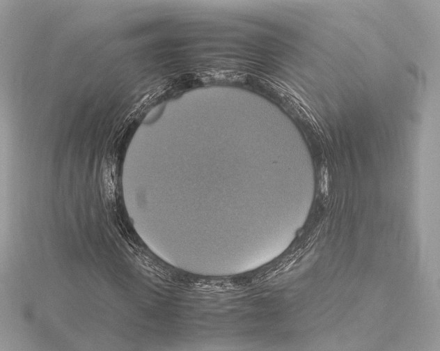 X0000115560915200912041050