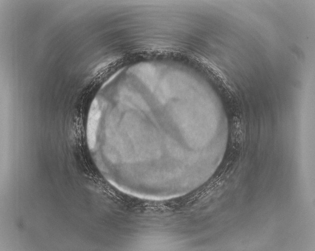 X0000115560918200912041050