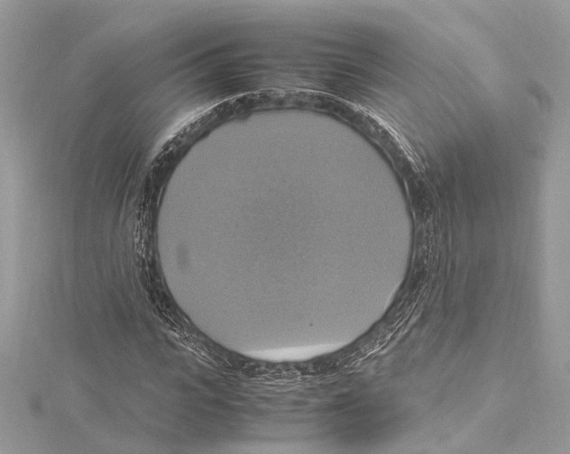 X0000115560919200912041050