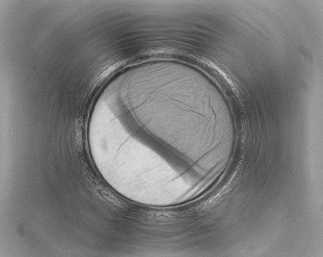 X0000115560921200912041050