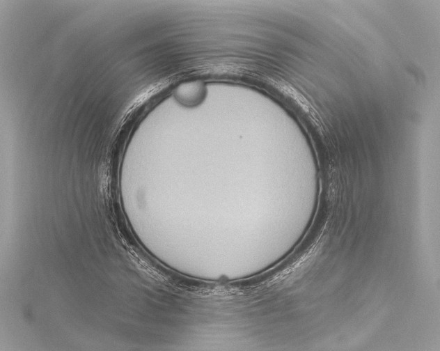 X0000115560922200912041050