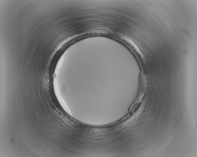 X0000115560923200912041050