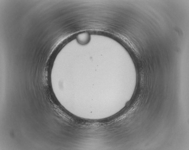 X0000115560926200912041050