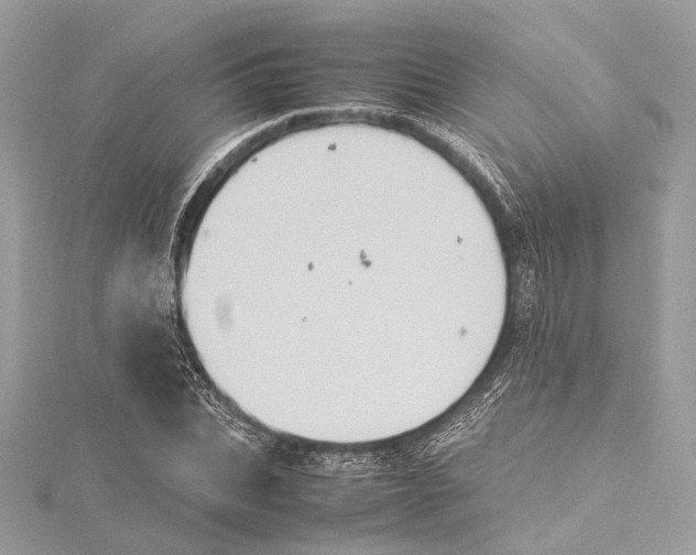 X0000115560927200912041050