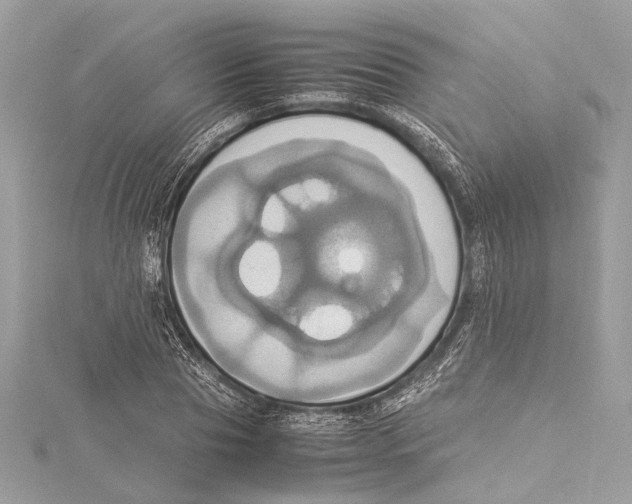 X0000115560929200912041050