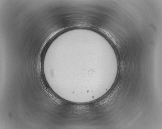 X0000115560931200912041050