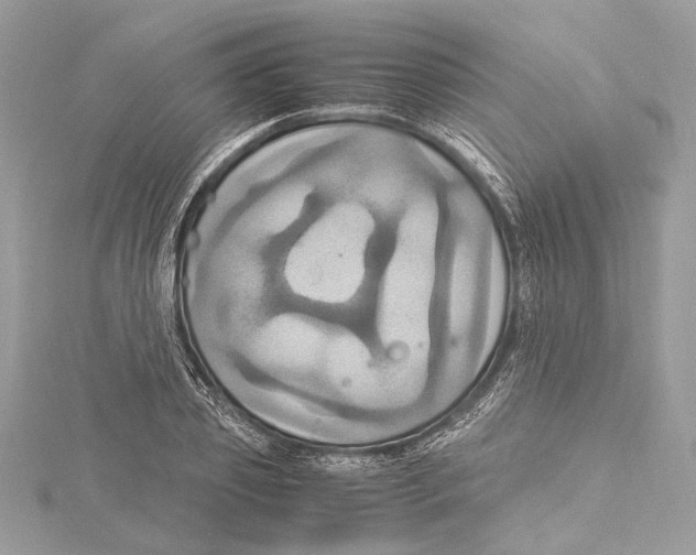 X0000115560933200912041050