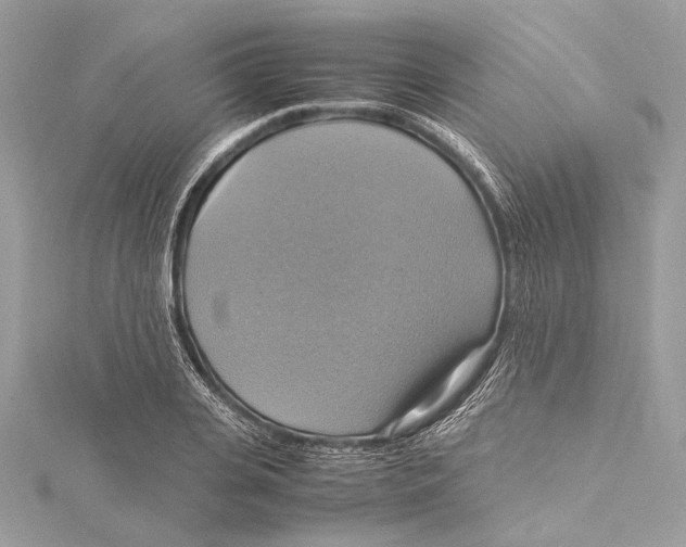 X0000115560935200912041050