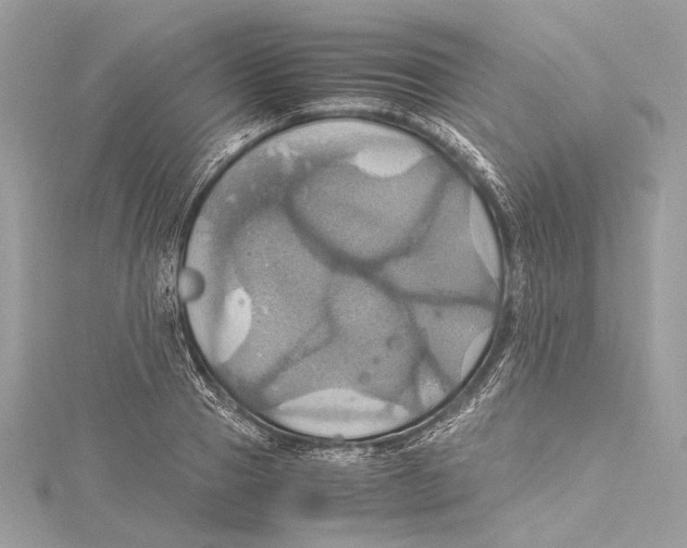 X0000115560937200912041050