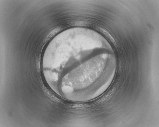 X0000115560938200912041050