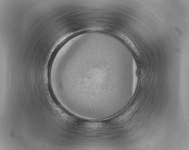 X0000115560939200912041050