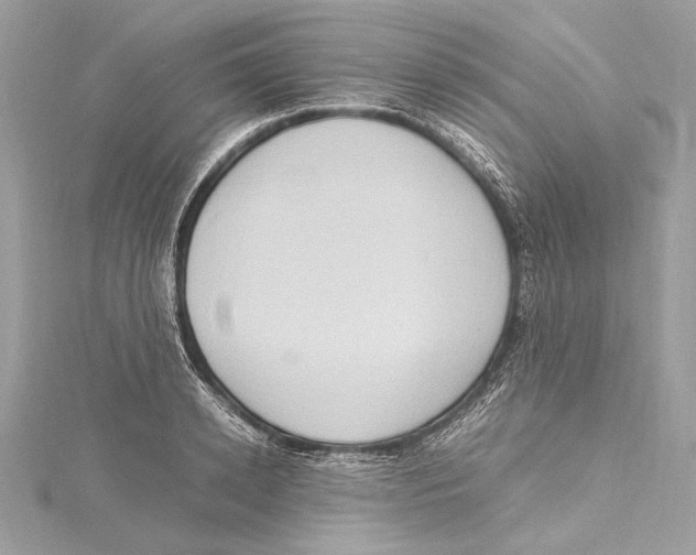 X0000115560942200912041050