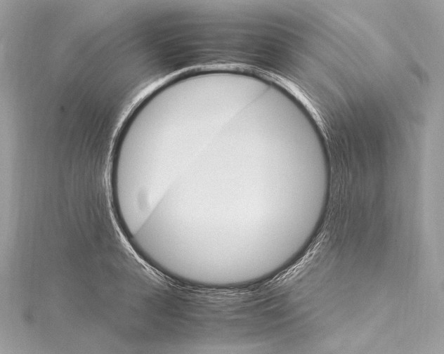 X0000115560943200912041050