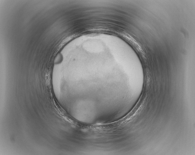 X0000115560945200912041050