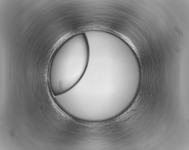 X0000115560946200912041050