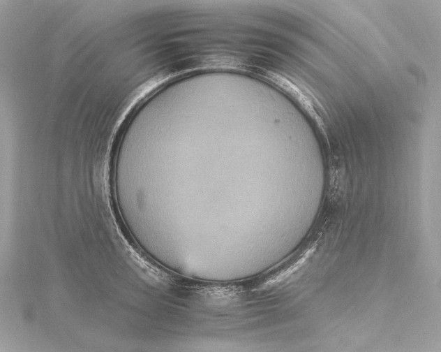 X0000115560947200912041050