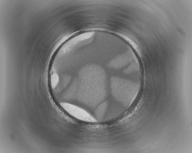 X0000115560949200912041050