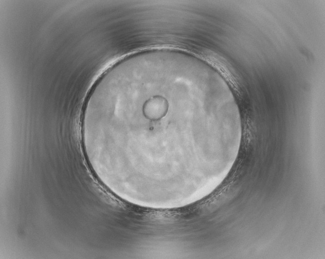 X0000115560950200912041050