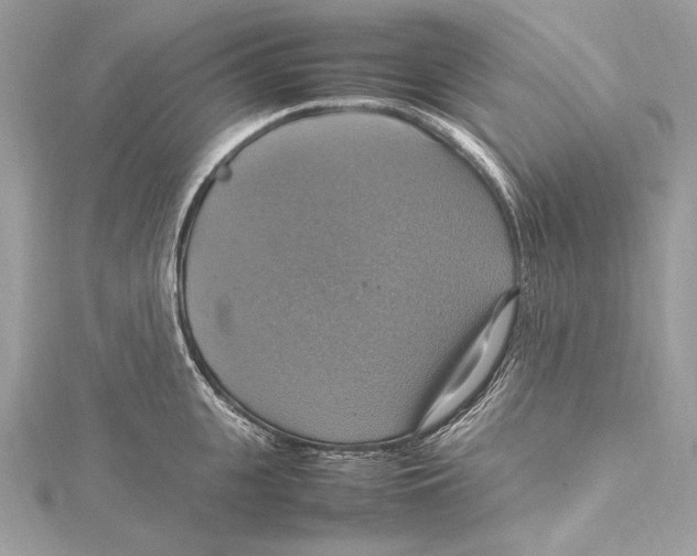 X0000115560951200912041050