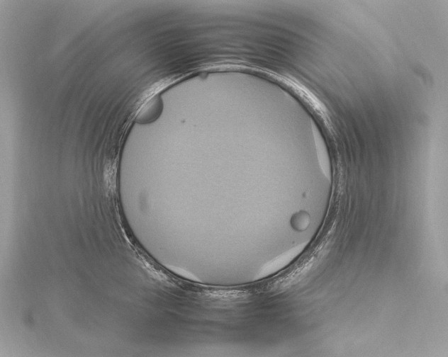 X0000115560953200912041050