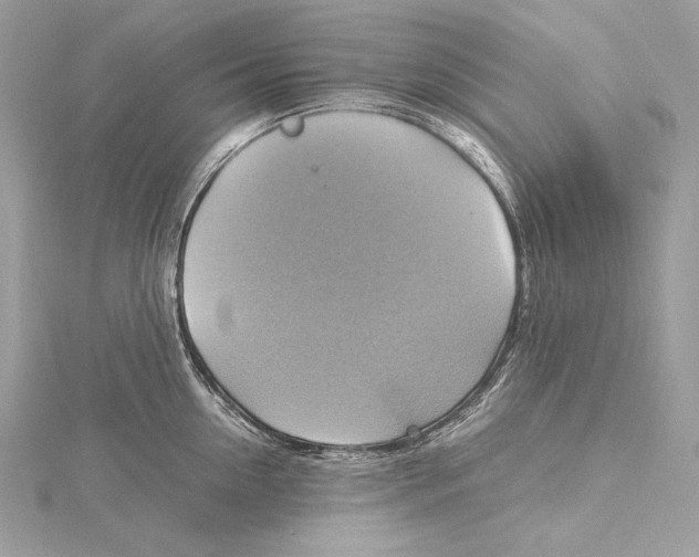 X0000115560954200912041050