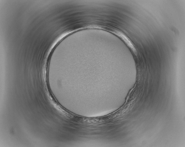 X0000115560955200912041050