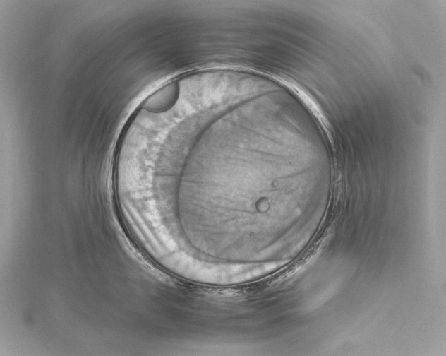 X0000115560957200912041050