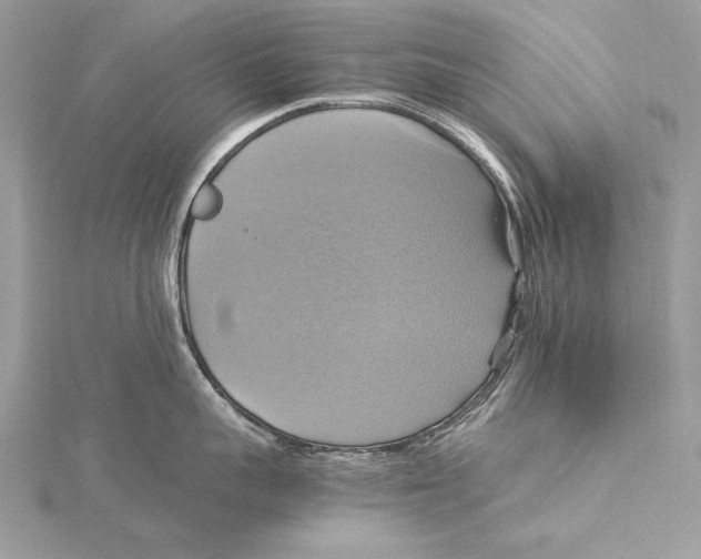 X0000115560959200912041050